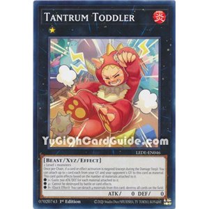 Tantrum Toddler (Common)