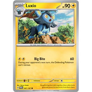 Luxio (Common)