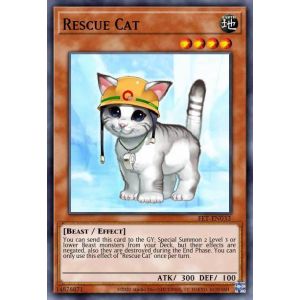 Rescue Cat (Quarter Century Rare)