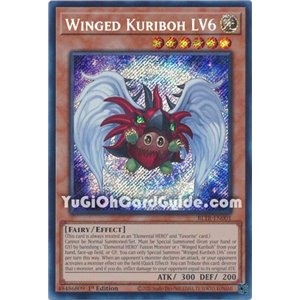 Winged Kuriboh LV6 (Secret Rare)