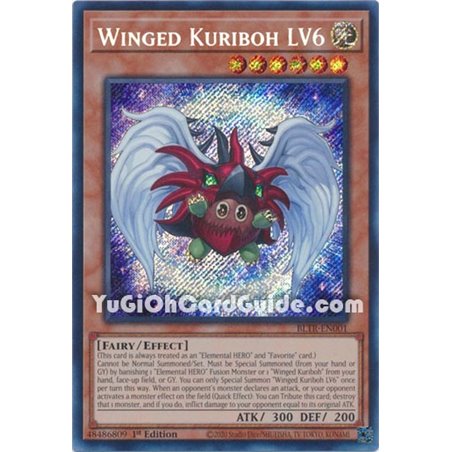 Winged Kuriboh LV6 (Secret Rare)