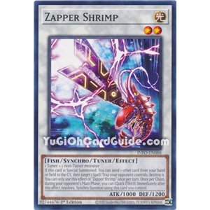 Zapper Shrimp (Common)