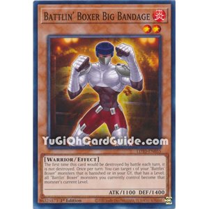 Battlin' Boxer Big Bandage (Common)