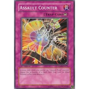 Assault Counter (Common)