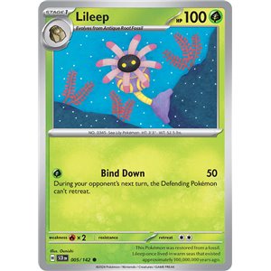 Lileep�(Common/ Reverse Holofoil)