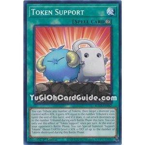 Token Support (Common)