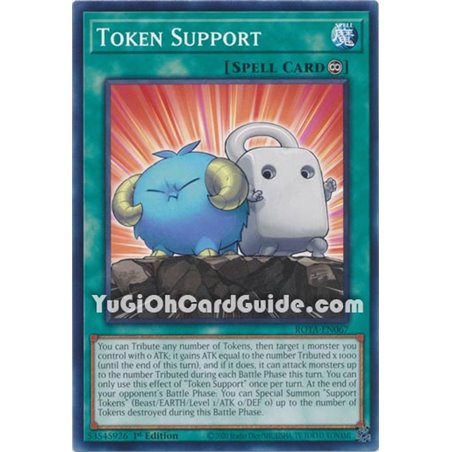 Token Support (Common)