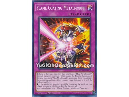 Flame Coating Metalmorph (Common)