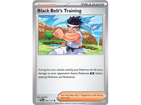 Black Belt�s Training (Common/Reverse Holofoil)