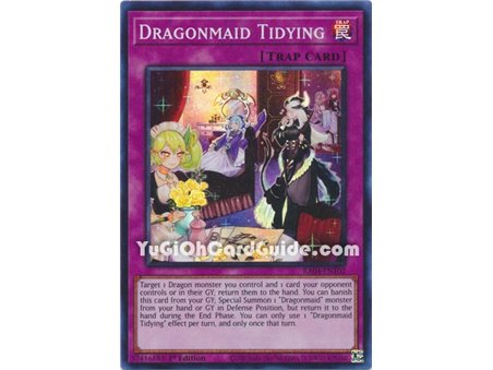 Dragonmaid Tidying (Collector's Rare)