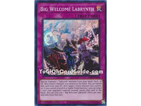 Big Welcome Labrynth (Platinum Secret Rare)