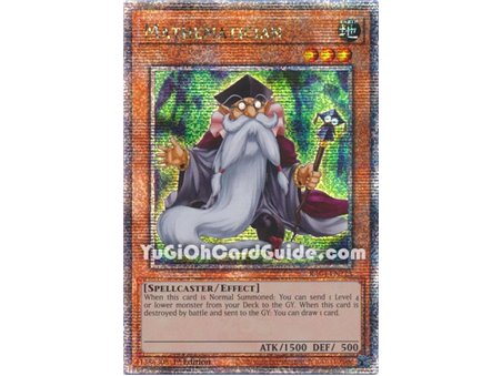 Mathematician (Quarter Century Secret Rare)