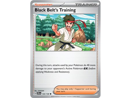 Black Belt's Training (Common)