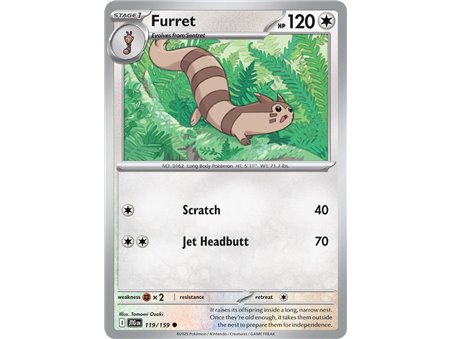 Furret (Common/Reverse Holofoil)
