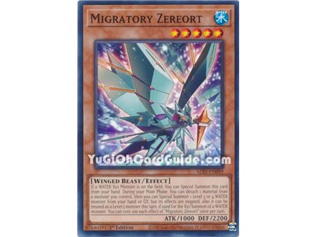 Migratory Zereort (Common)