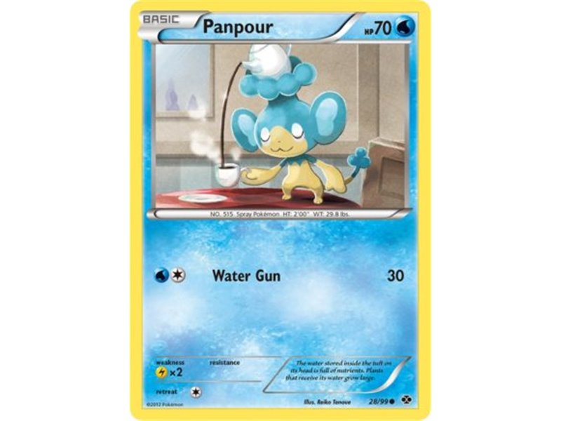 Panpour (Common)