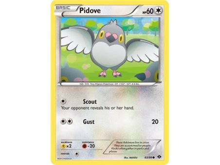 Pidove (Common)
