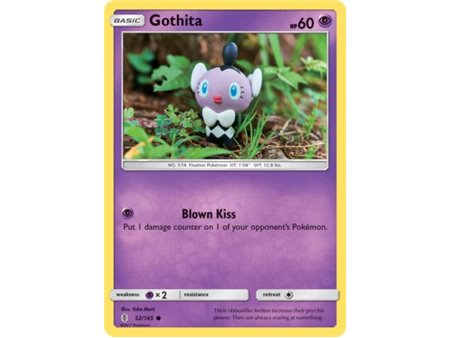 Gothita (Common) 