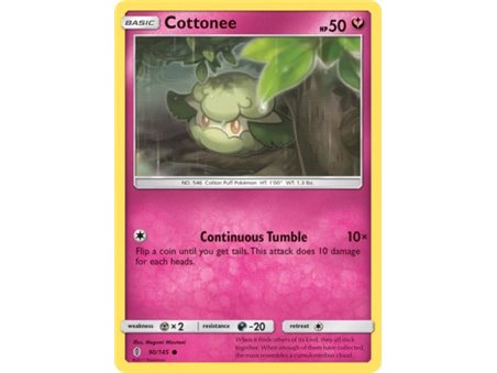 Cottone (Common)