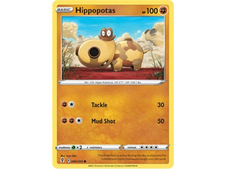Hippopotas (Common)
