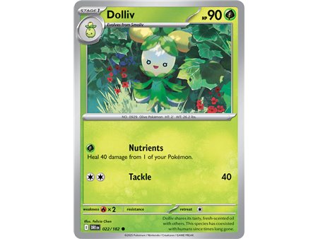 Dolliv (Common)