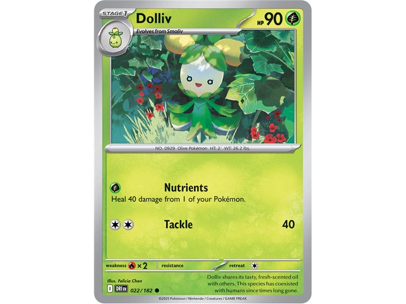 Dolliv (Common)