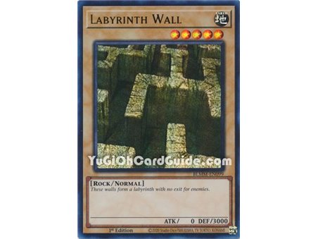 Labyrinth Wall (Ultra Rare)