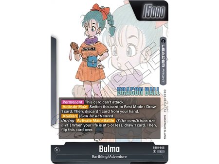 Bulma (Leader)