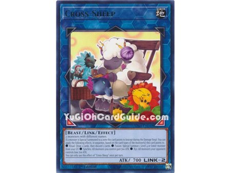Cross-Sheep (Rare)