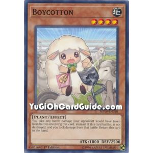 Boycotton (Common)