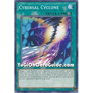 Cybersal Cyclone (Common)