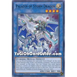 Paladin of Storm Dragon (Common)