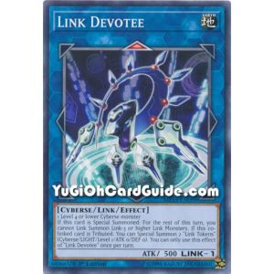 Link Devotee (Common)