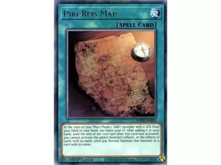 Piri Reis Map (Ultra Rare)