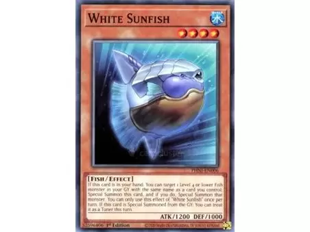 White Sunfish (Common)