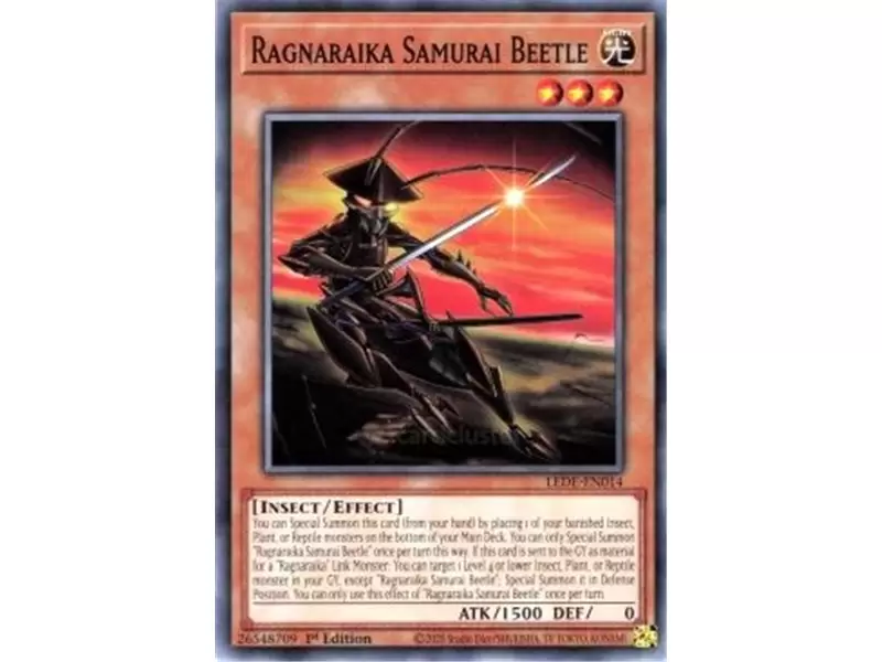 Ragnaraika Samurai Beetle (Common) Ragnaraika Samurai Beetle (Common)