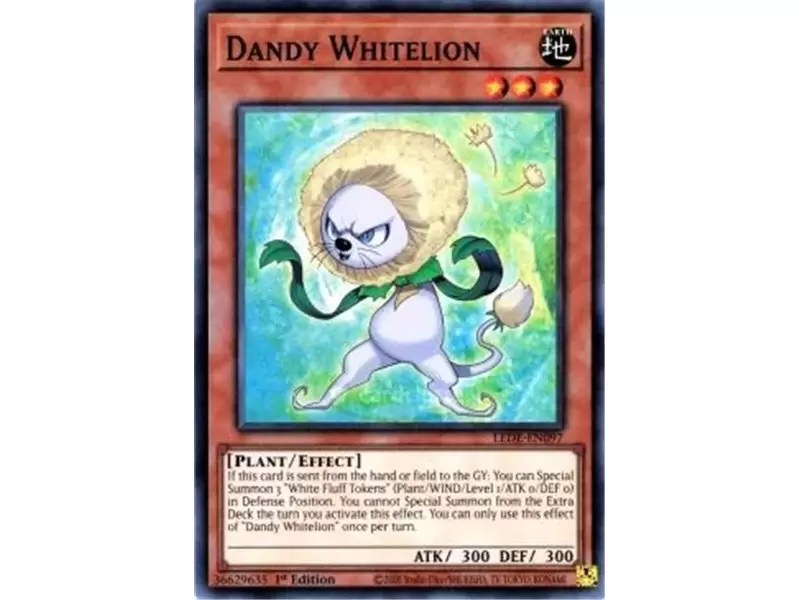 Dandy Whitelion (Common) Dandy Whitelion (Common)