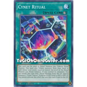 Cynet Ritual