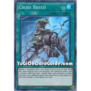 Cross Breed (Super Rare)