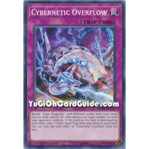 Cybernetic Overflow (Common)