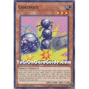 Gokipole (Common)