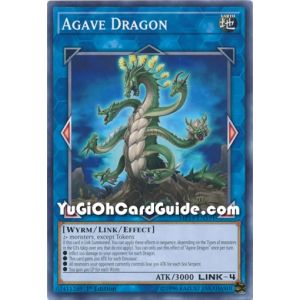 Agave Dragon