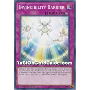 Invincibility Barrier