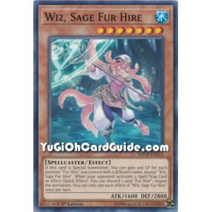 Wiz, Sage Fur Hire (Common)