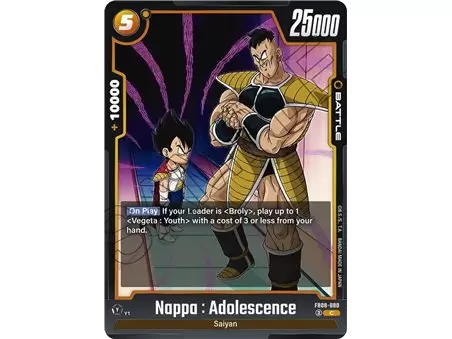 Nappa : Adolescence (Common)