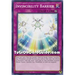 Invincibility Barrier