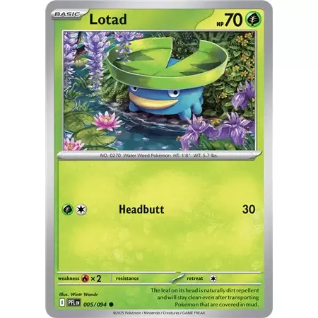 Lotad (Common)