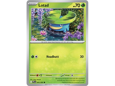 Lotad (Common)