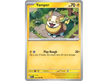 Yamper (Common)