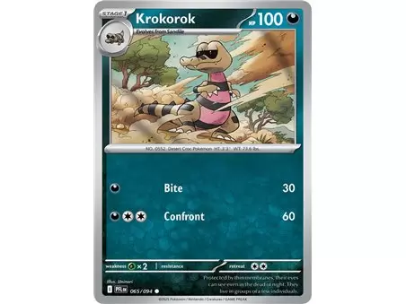 Krokorok (Common)